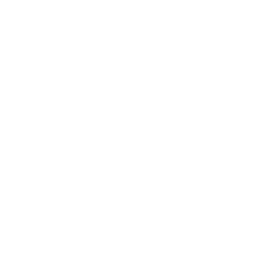 Cavefle — Expert Logistics and Cargo Solutions
